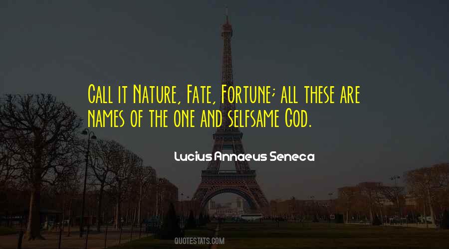Lucius Annaeus Seneca Quotes #459188