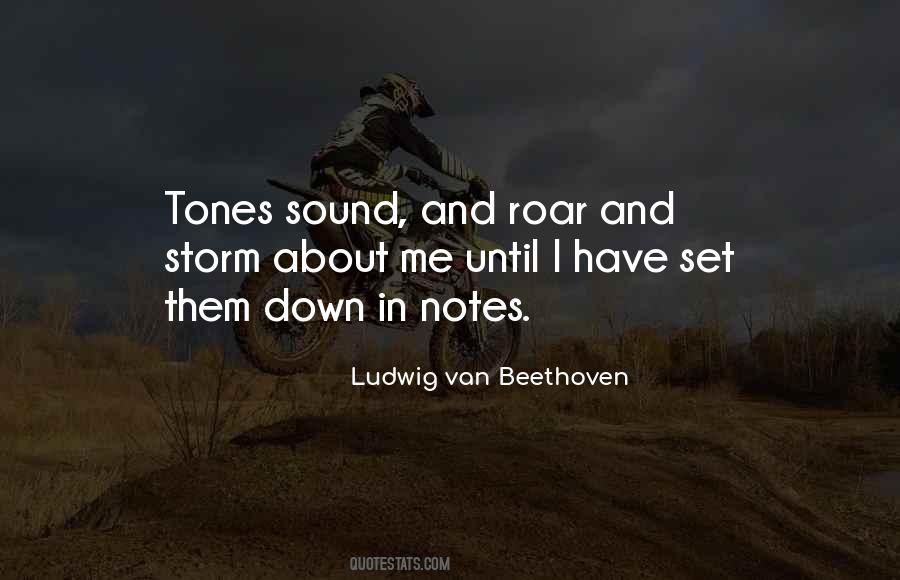 Ludwig Van Beethoven Quotes #792890