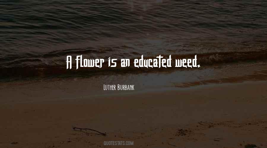 Luther Burbank Quotes #1679064
