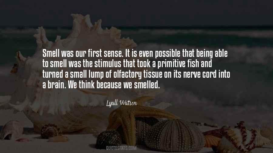 Lyall Watson Quotes #54072