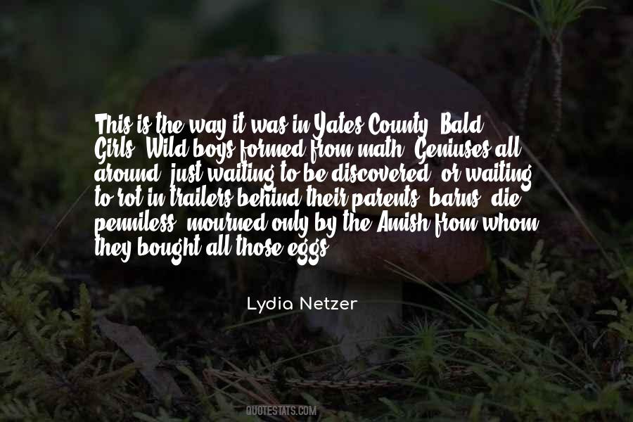 Lydia Netzer Quotes #1296864