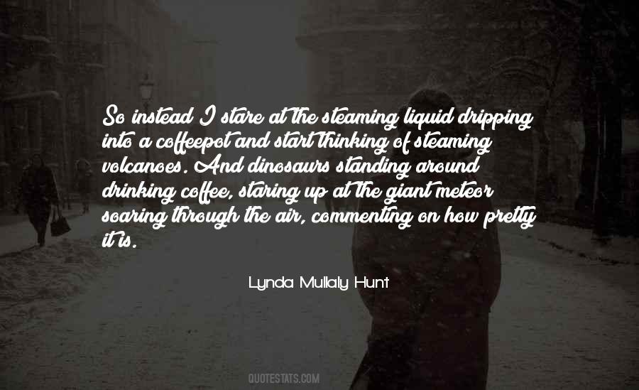 Lynda Mullaly Hunt Quotes #537580