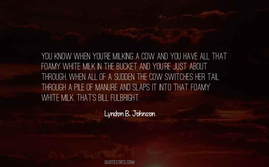 Lyndon B. Johnson Quotes #187294