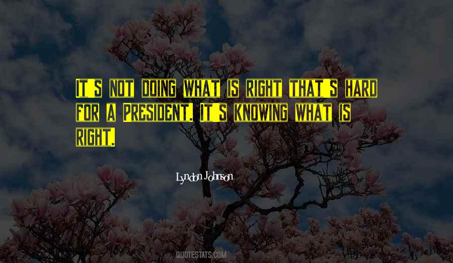 Lyndon Johnson Quotes #1014414