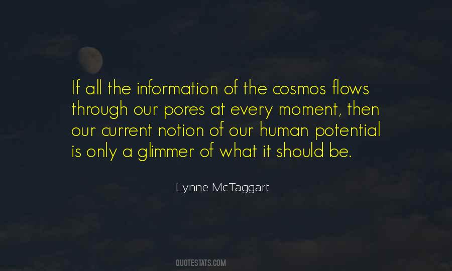 Lynne McTaggart Quotes #1417630