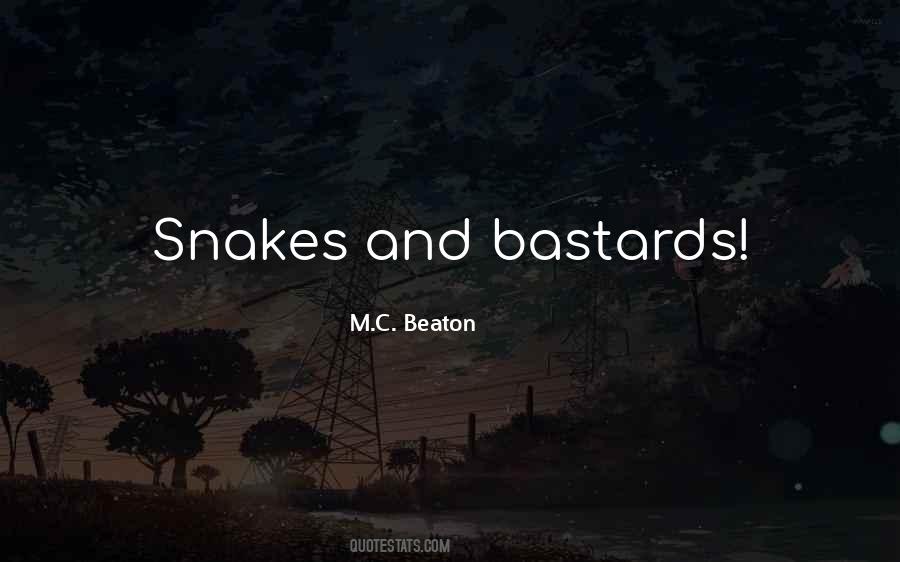 M.C. Beaton Quotes #210444