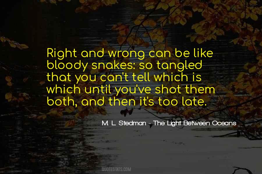 M. L. Stedman - The Light Between Oceans Quotes #1099381 M. L. Stedman - The Light Between Oceans Quotes #1099381