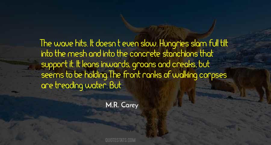 M.R. Carey Quotes #1494316