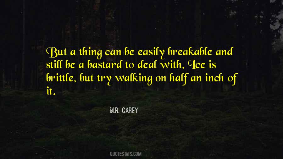 M.R. Carey Quotes #1608716