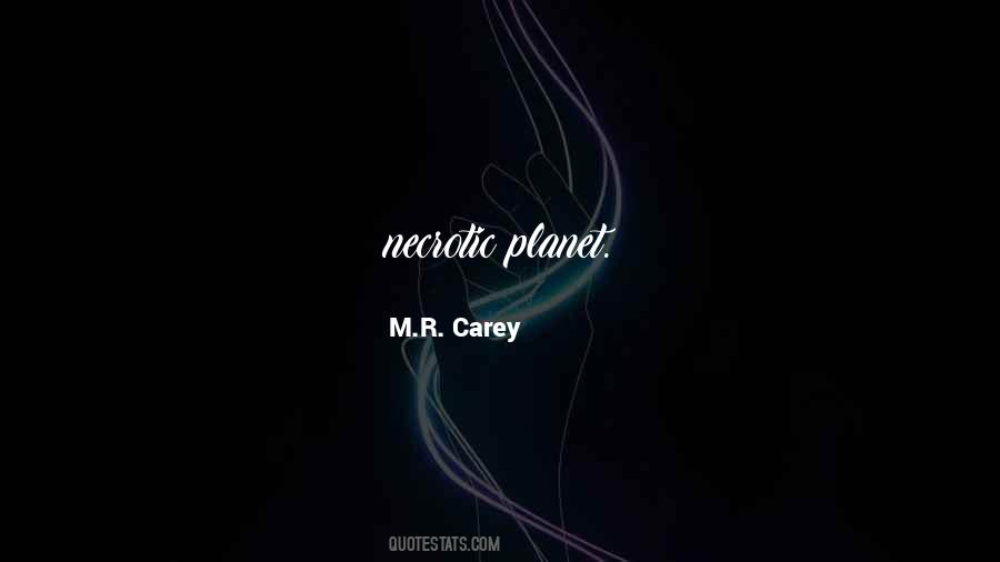 M.R. Carey Quotes #1781753