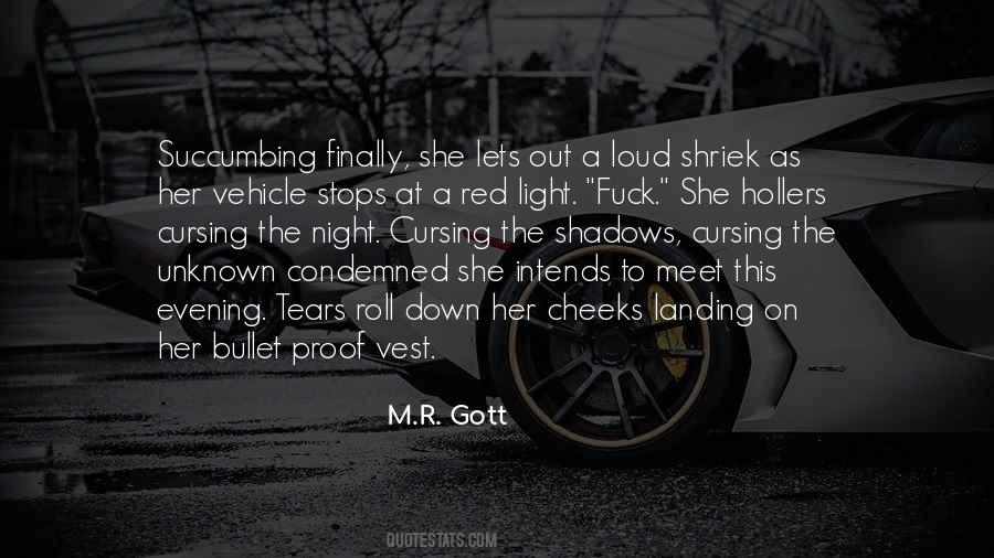 M.R. Gott Quotes #625891