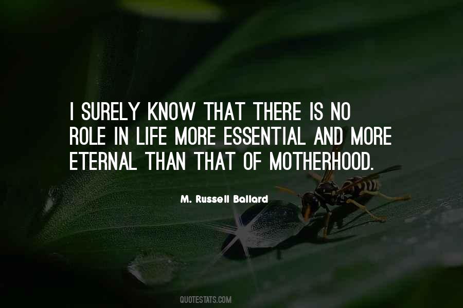 M. Russell Ballard Quotes #206215