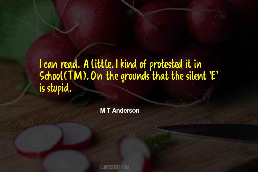 M T Anderson Quotes #651910