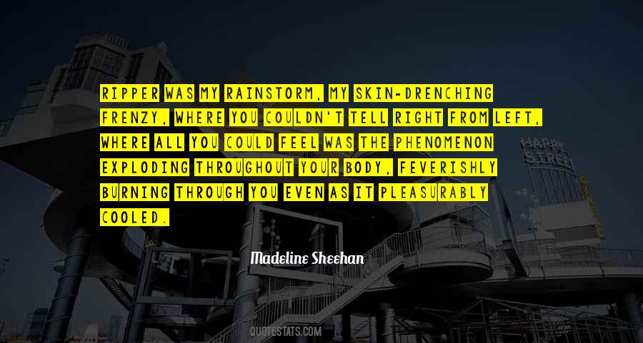 Madeline Sheehan Quotes #1289301