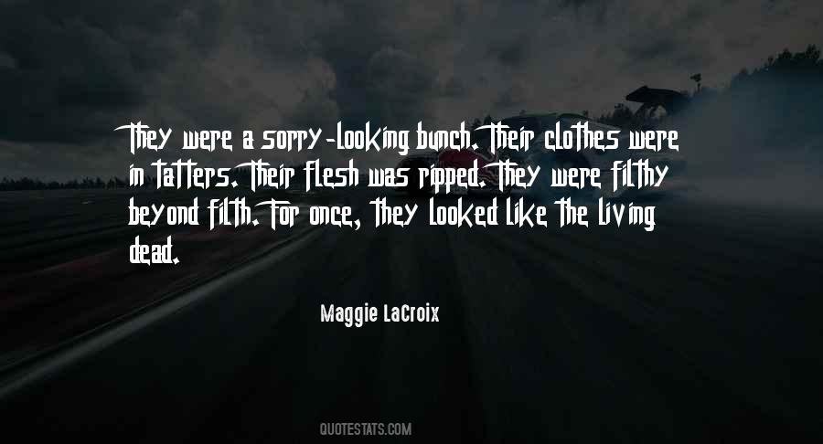 Maggie LaCroix Quotes #879056