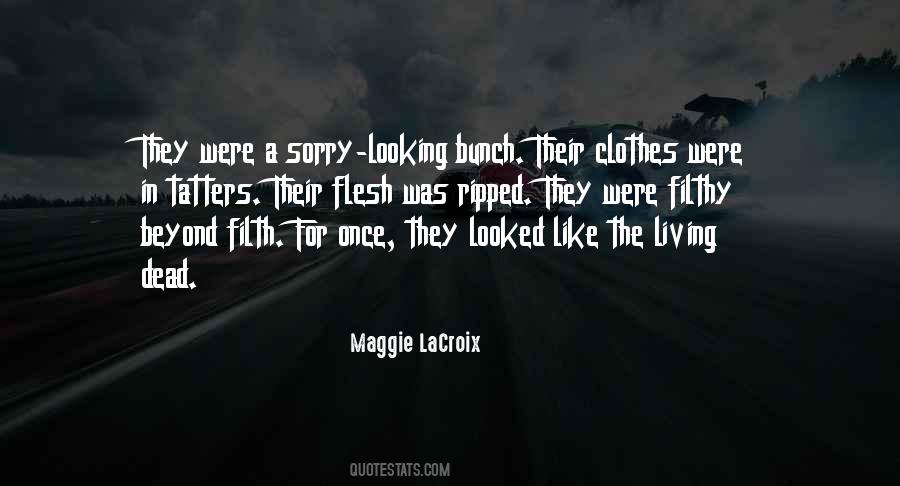 Maggie LaCroix Quotes #879056