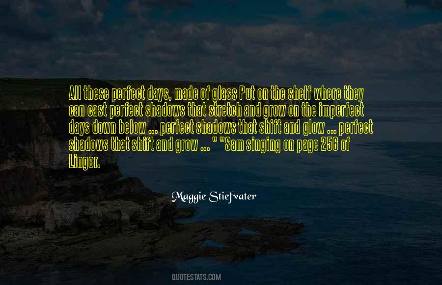 Maggie Stiefvater Quotes #102488