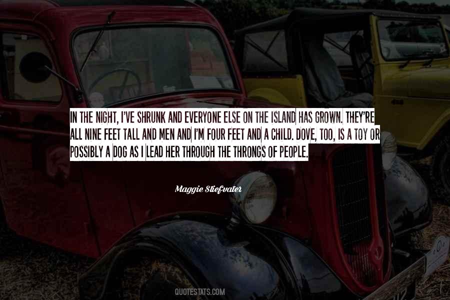 Maggie Stiefvater Quotes #1074073