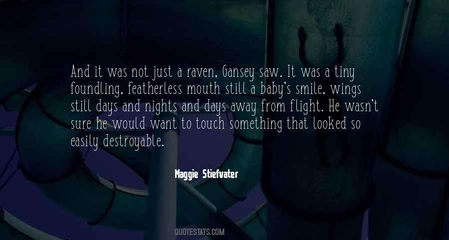 Maggie Stiefvater Quotes #1166527