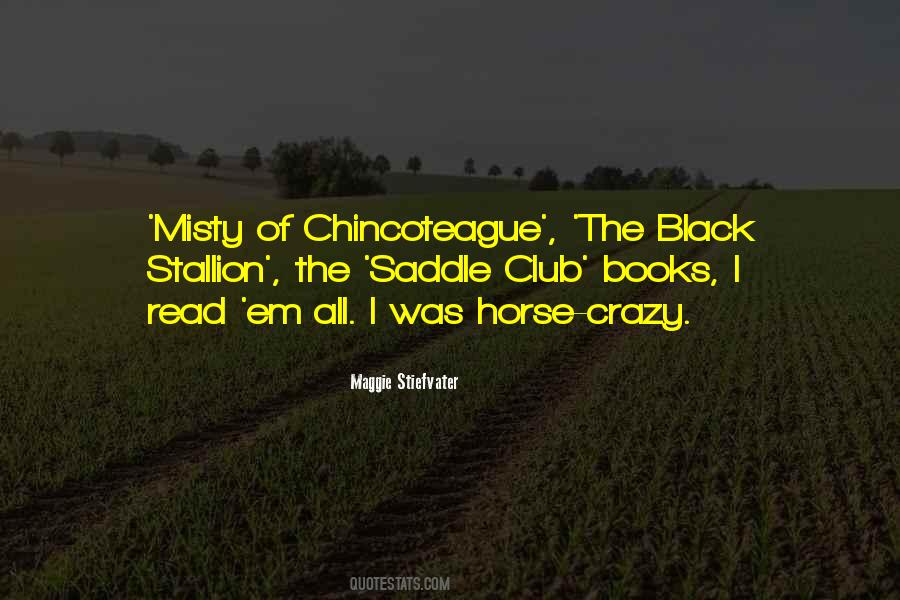 Maggie Stiefvater Quotes #1480022