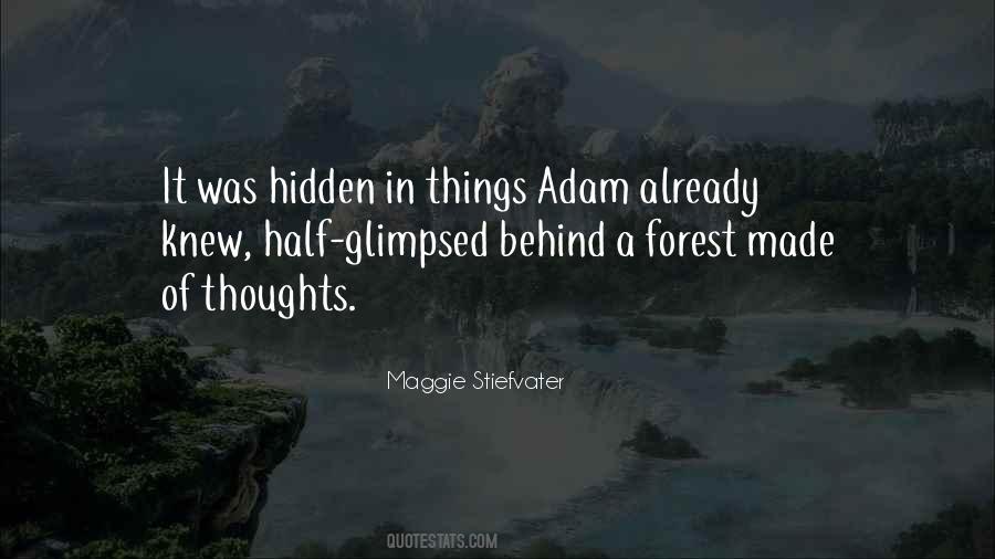 Maggie Stiefvater Quotes #485755