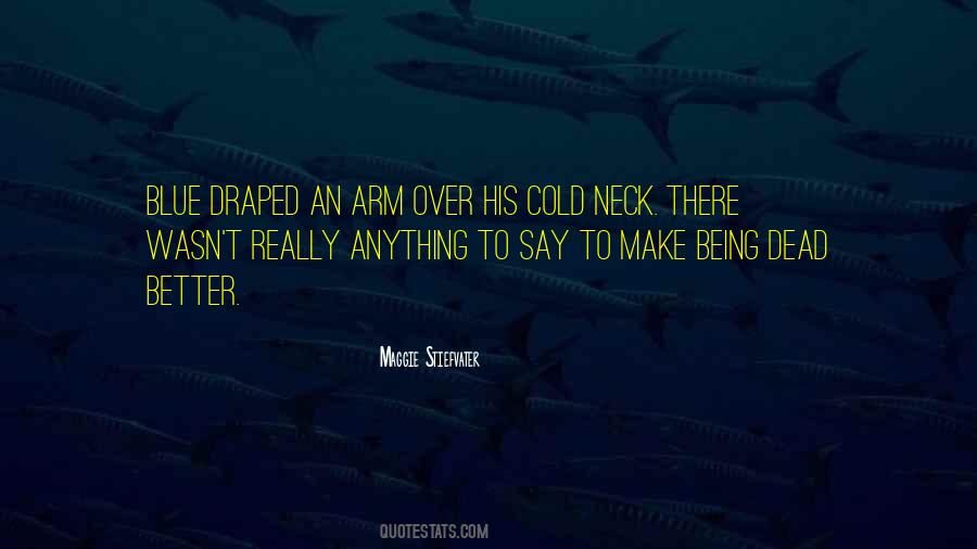 Maggie Stiefvater Quotes #755754