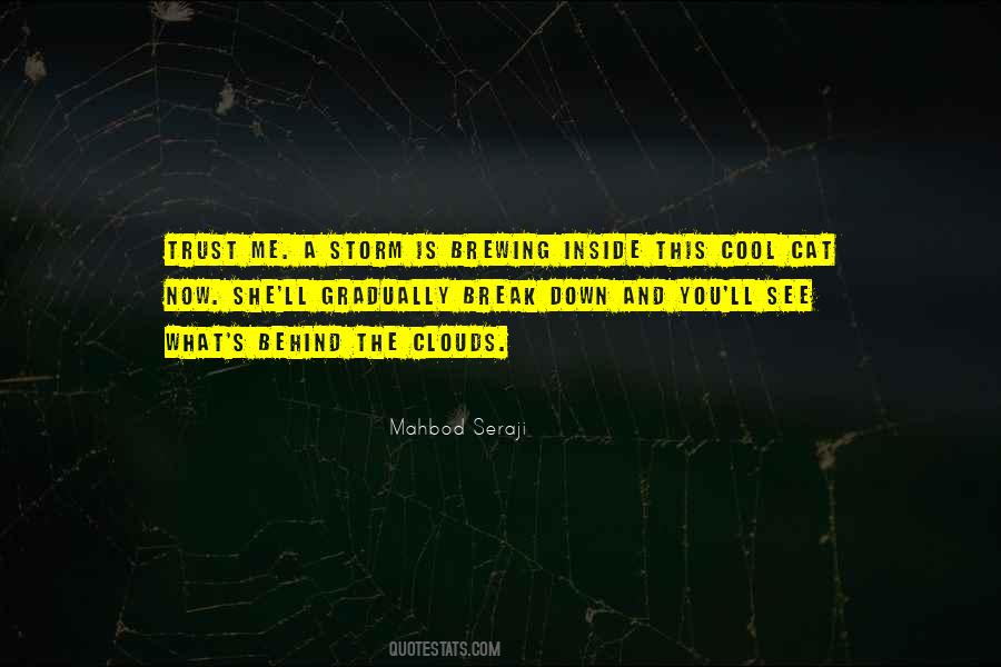 Mahbod Seraji Quotes #867013