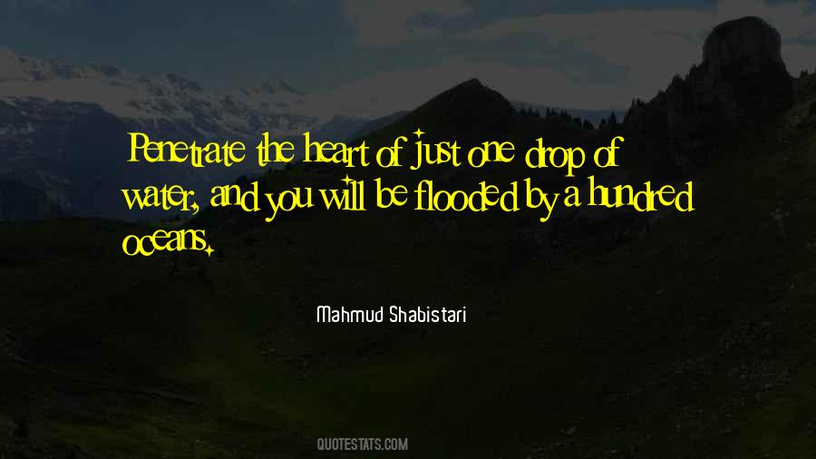 Mahmud Shabistari Quotes #608320