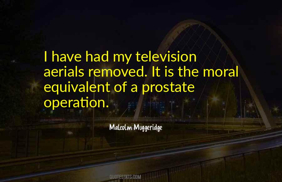 Malcolm Muggeridge Quotes #553938
