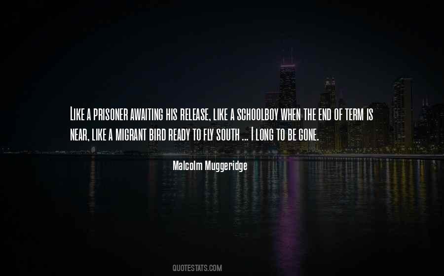 Malcolm Muggeridge Quotes #598473