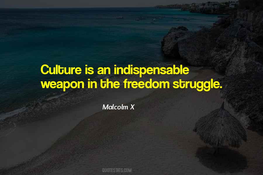 Malcolm X Quotes #304445