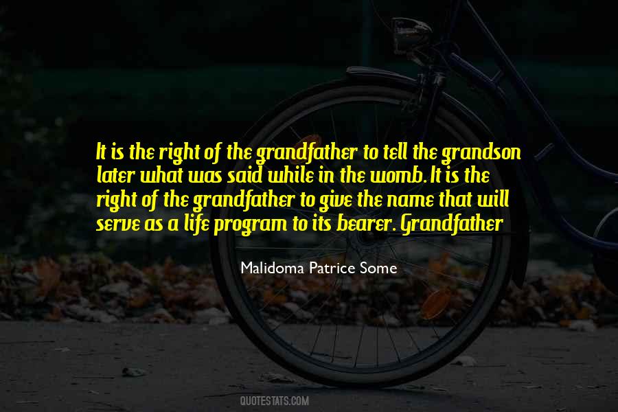 Malidoma Patrice Some Quotes #1852391