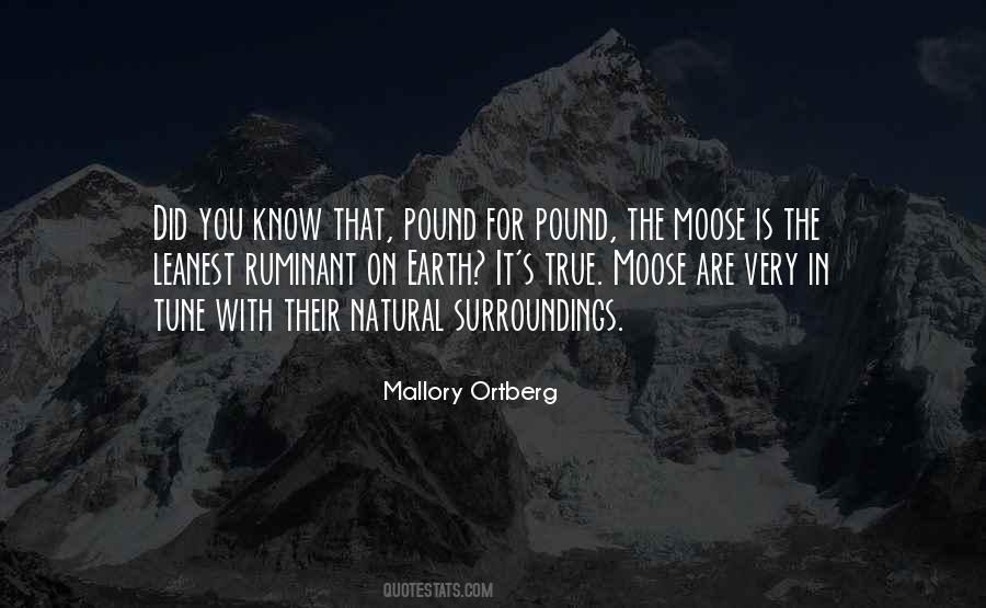 Mallory Ortberg Quotes #1837401