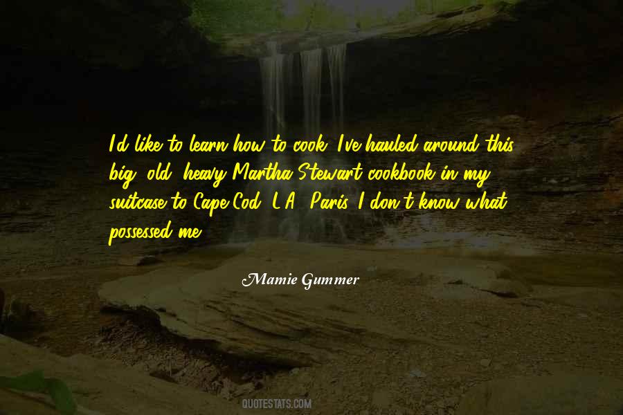 Mamie Gummer Quotes #432361