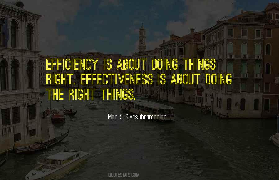 Mani S. Sivasubramanian Quotes #1050927