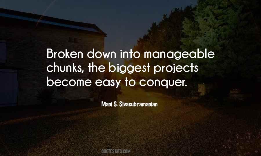 Mani S. Sivasubramanian Quotes #659906