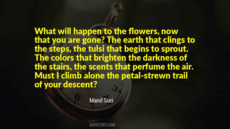 Manil Suri Quotes #1717653