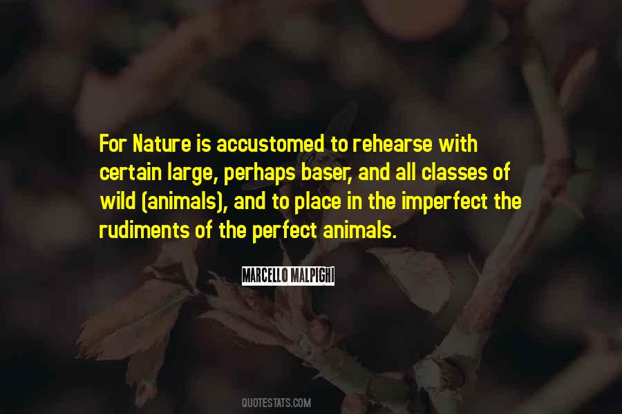 Marcello Malpighi Quotes #640060