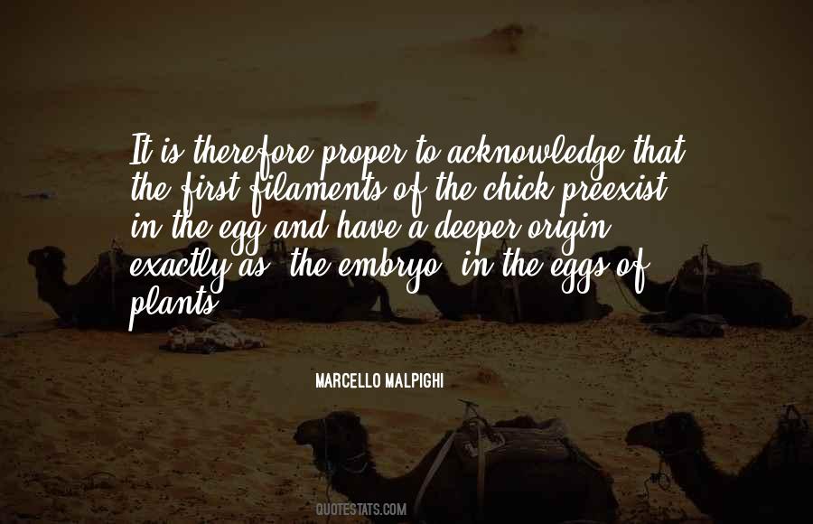 Marcello Malpighi Quotes #909141