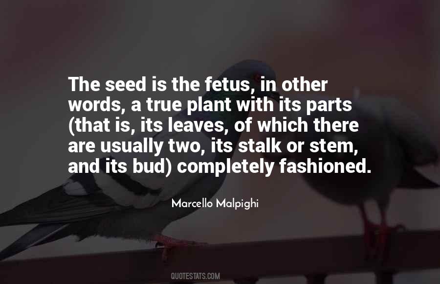 Marcello Malpighi Quotes #958829