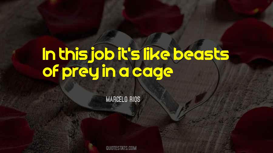 Marcelo Rios Quotes #856922 Marcelo Rios Quotes #856922