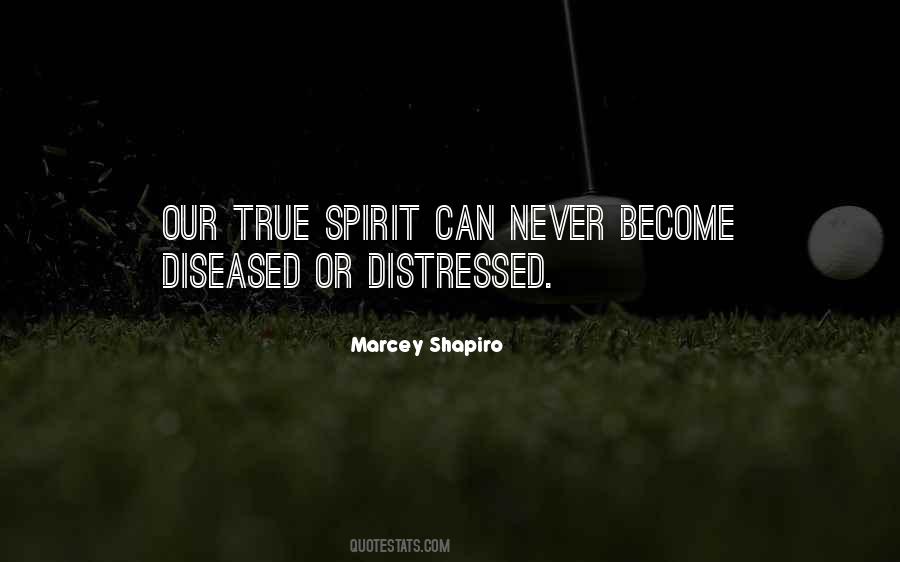 Marcey Shapiro Quotes #1029409