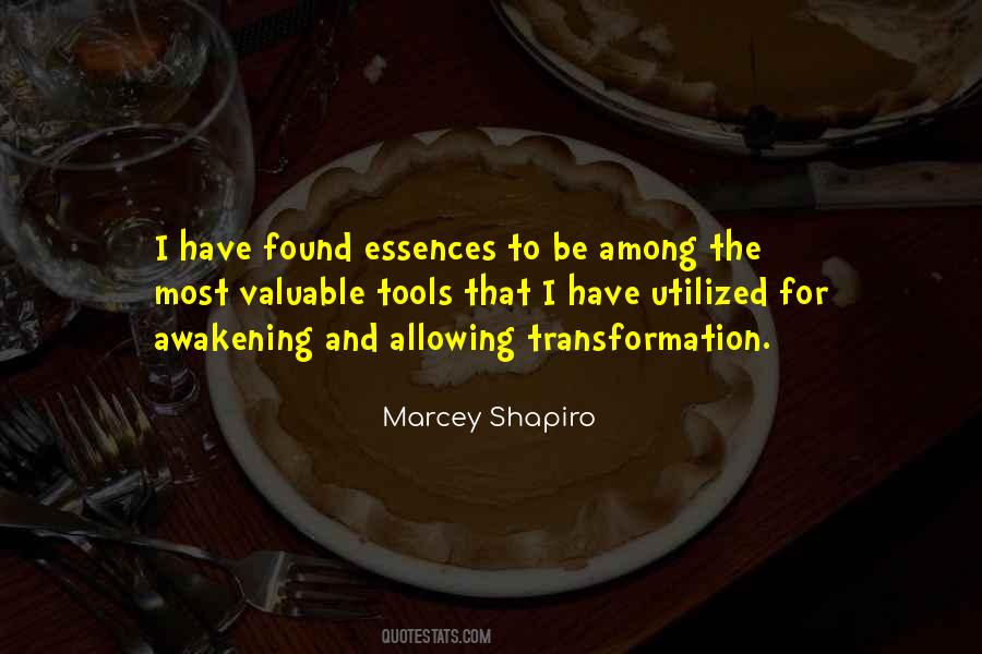 Marcey Shapiro Quotes #1218842
