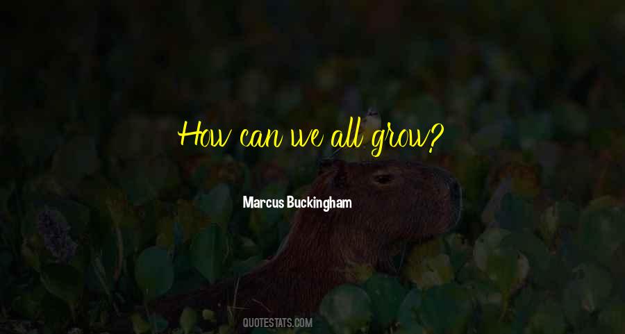 Marcus Buckingham Quotes #485433
