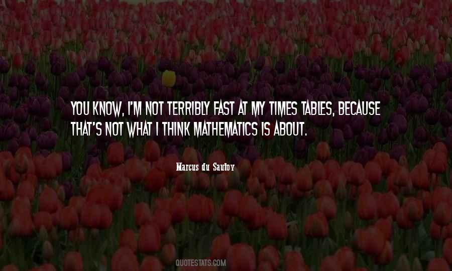 Marcus Du Sautoy Quotes #1066413