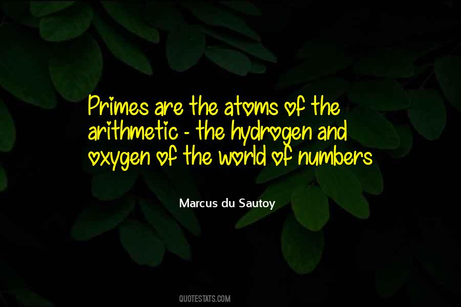 Marcus Du Sautoy Quotes #457586