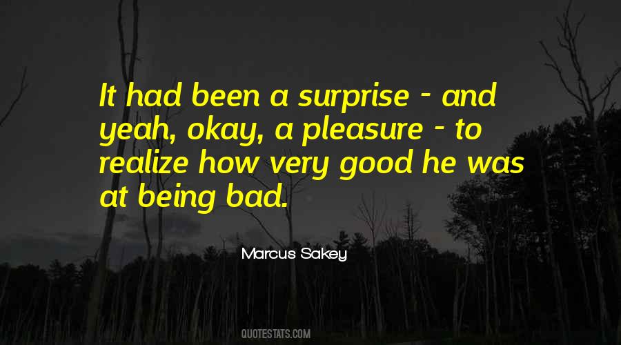 Marcus Sakey Quotes #569865