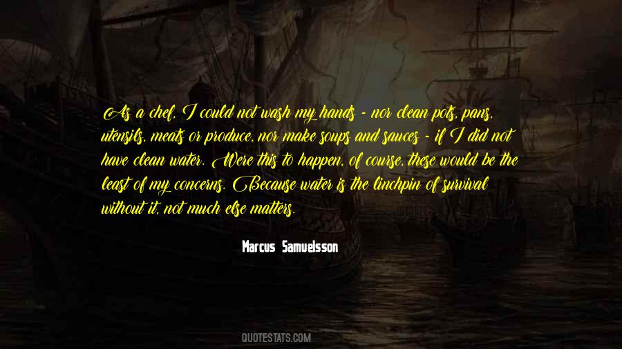 Marcus Samuelsson Quotes #460992