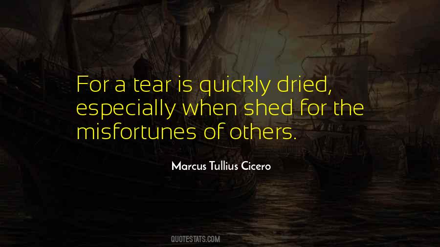 Marcus Tullius Cicero Quotes #978055