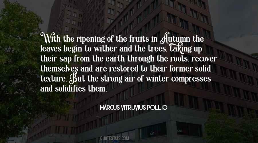 Marcus Vitruvius Pollio Quotes #1837850